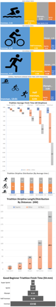 Triathlon Run Average Time - All Distances