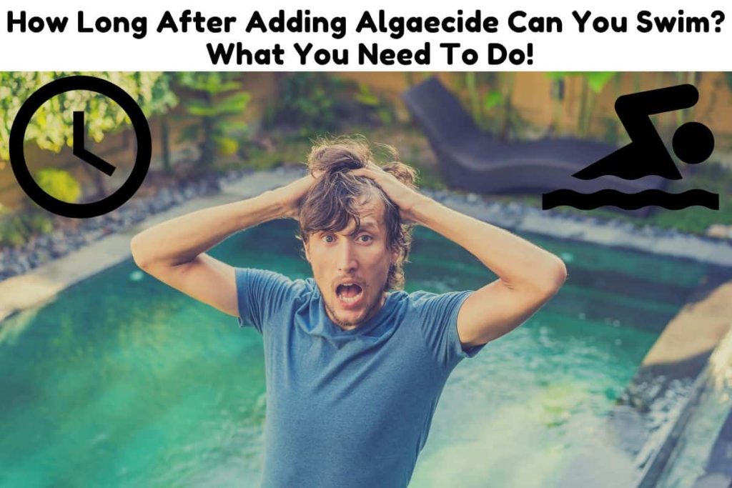 how-long-after-adding-algaecide-can-you-swim-what-you-need-to-do